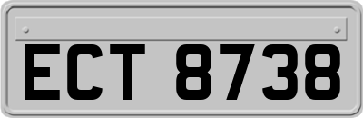 ECT8738