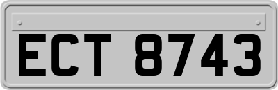 ECT8743