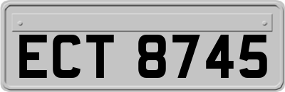 ECT8745