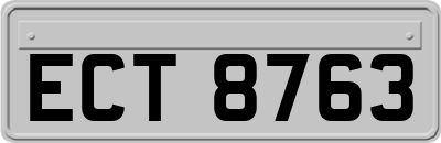 ECT8763