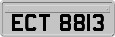 ECT8813