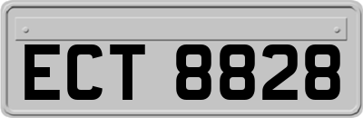 ECT8828