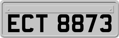 ECT8873