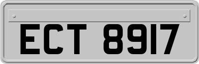 ECT8917