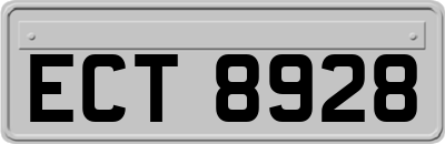 ECT8928