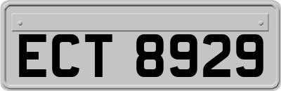 ECT8929