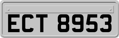 ECT8953