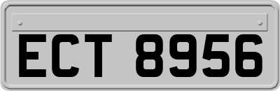 ECT8956