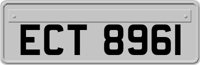 ECT8961