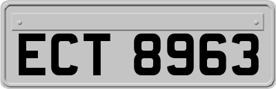 ECT8963