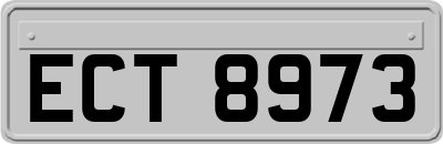 ECT8973