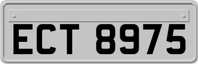 ECT8975