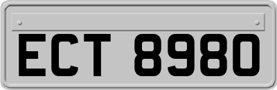 ECT8980