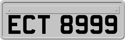 ECT8999