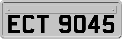 ECT9045