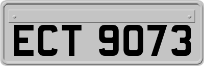 ECT9073