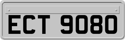 ECT9080