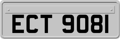 ECT9081