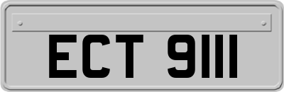 ECT9111