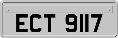 ECT9117