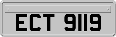 ECT9119