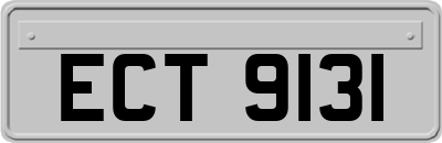ECT9131