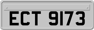 ECT9173