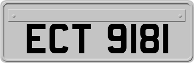 ECT9181
