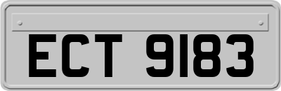 ECT9183