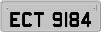 ECT9184