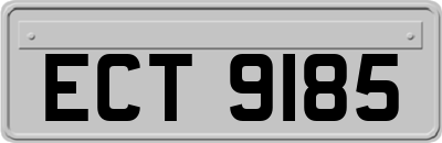 ECT9185
