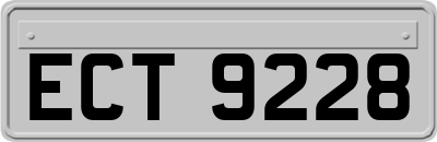 ECT9228
