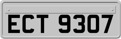 ECT9307