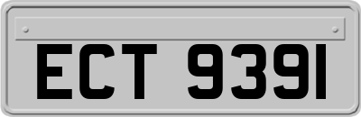 ECT9391
