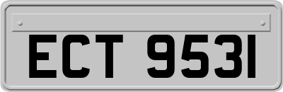 ECT9531