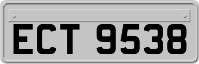 ECT9538