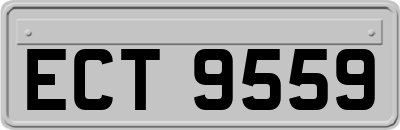 ECT9559