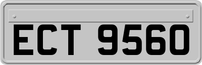 ECT9560