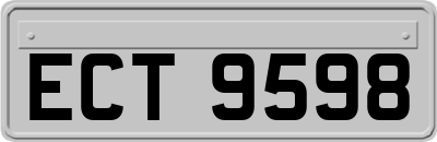 ECT9598