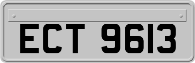 ECT9613