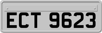 ECT9623