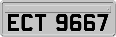 ECT9667