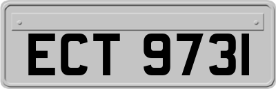 ECT9731