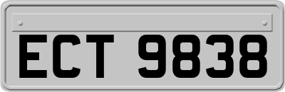 ECT9838