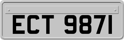 ECT9871
