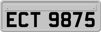 ECT9875