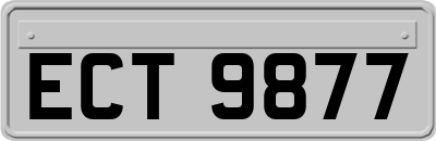 ECT9877