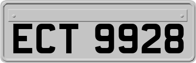 ECT9928