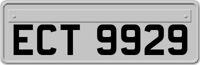 ECT9929