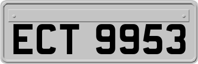 ECT9953